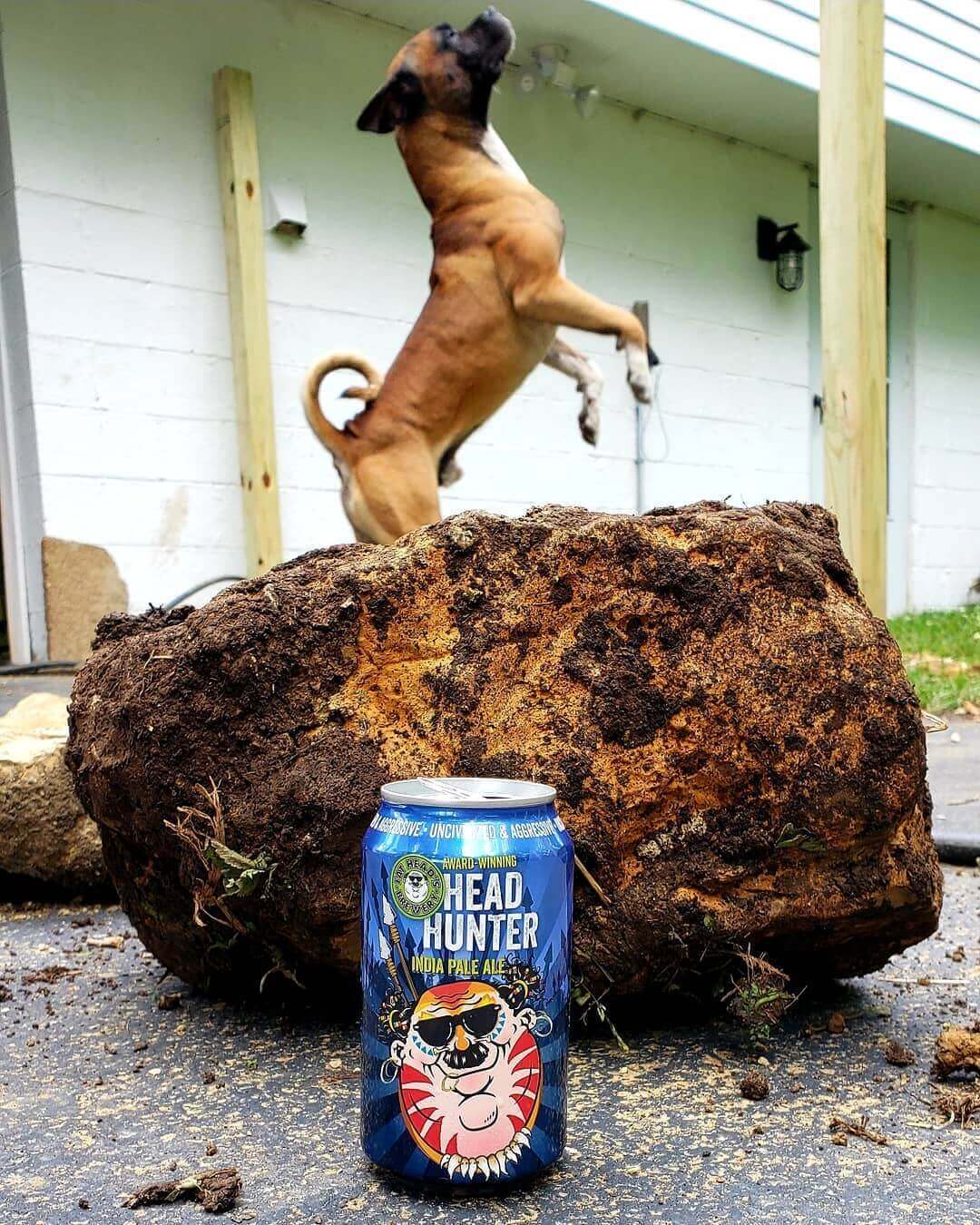 Dog jumping in the background with a can of beer in the foreground on National Dog Day.